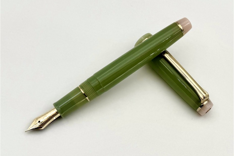 PROFESSIONAL GEAR SLIM