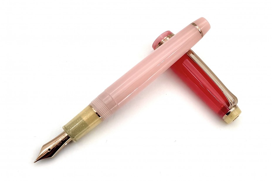 PROFESSIONAL GEAR SLIM