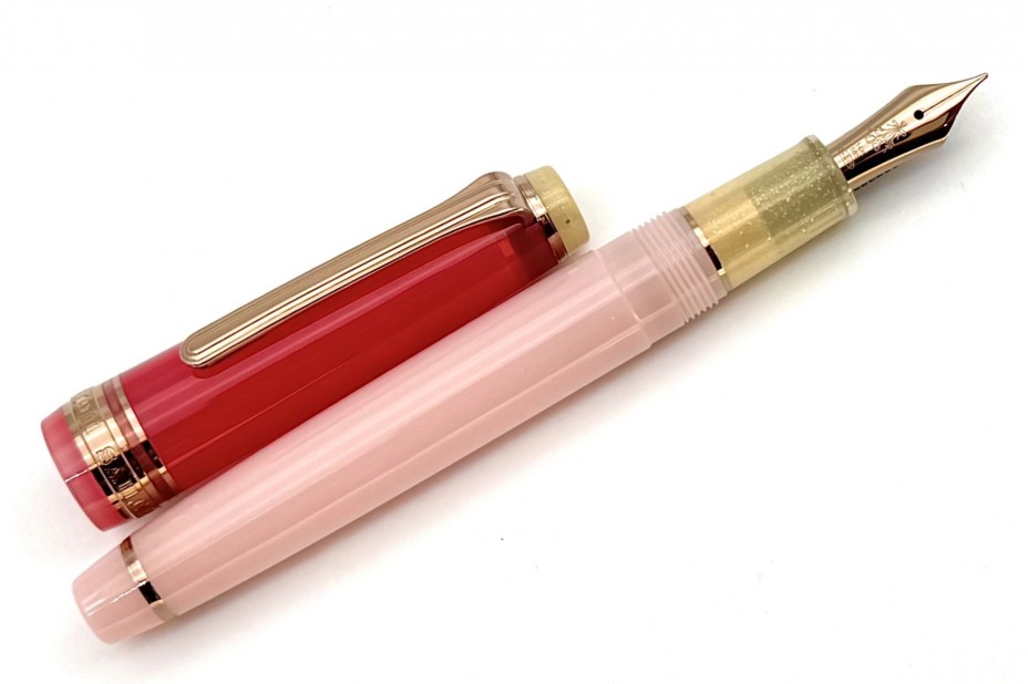 PROFESSIONAL GEAR SLIM
